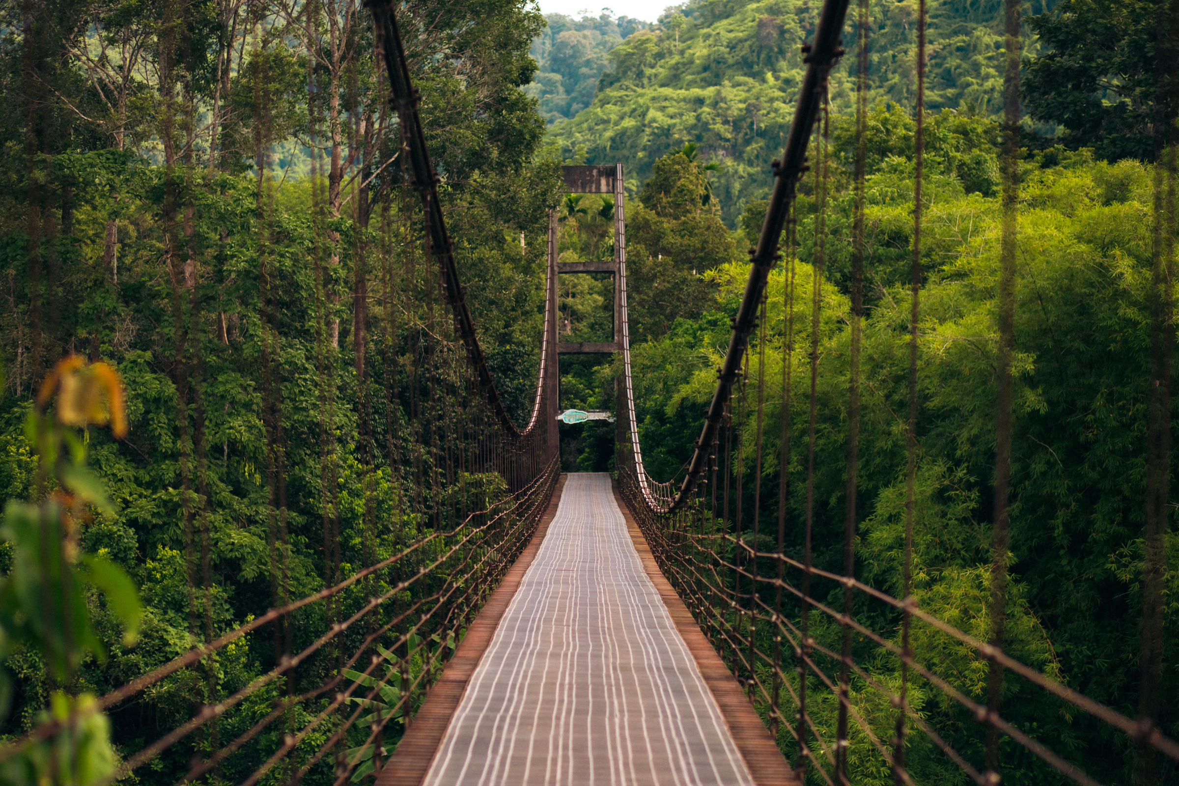 khao sok national park (3).webp